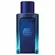 The Icon Supreme Antonio Banderas Perfume Masculino Eau de Parfum