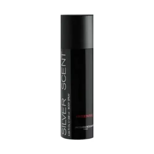 Body Spray Silver Scent Intense Masculino Eau de Toilette