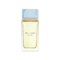 Dolce & Gabbana Light Blue Perfume Feminino Eau de Parfum