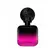 Shakira Fucsia Elixir Feminino Eau de Parfum