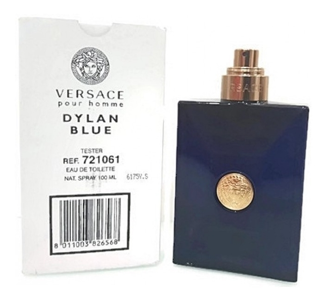 Tester Versace Dylan Blue Masculino Eau De Toilette 100ml