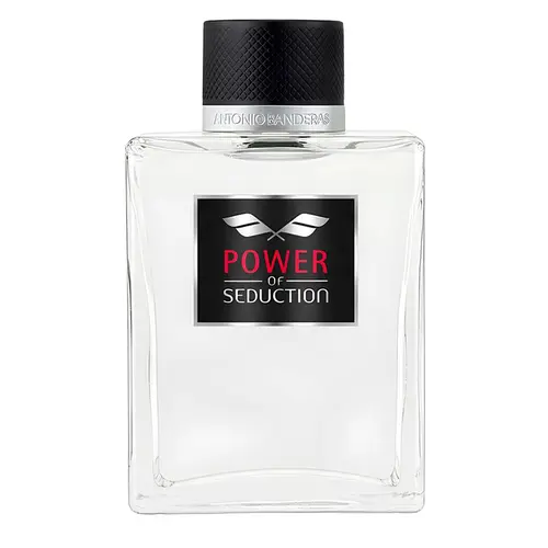 Power of Seduction Perfume Masculino Eau de Toilette